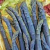 Asparagus, Purple Passion