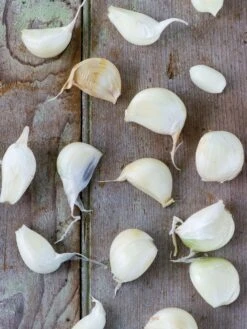 Garlic, Inchelium Red 8 Garlic, Inchelium Red -Organic Plants Sales 3f2d633dd7a8a862fc72873090e7c7e1804bdfd197ec05a3618644c34e2e7322