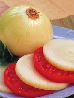 Onion, Texas Supersweet