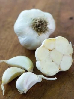 Garlic, Nootka Rose
