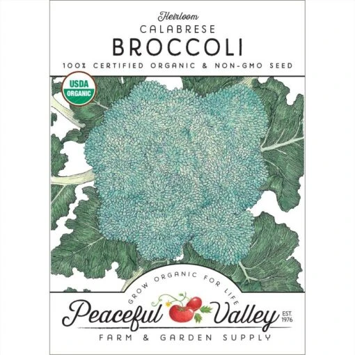 Calabrese Broccoli Seeds (Organic) -Organic Plants Sales organic broccoli calabrese