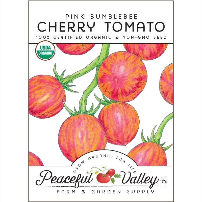 Cherry Pink Bumble Bee Tomato Seeds (Organic) 1 Cherry Pink Bumble Bee Tomato Seeds (Organic)