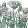 Organic Chives, Garlic (1 Oz)