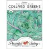 Collard Old Timey Blue Greens Seeds (Organic)
