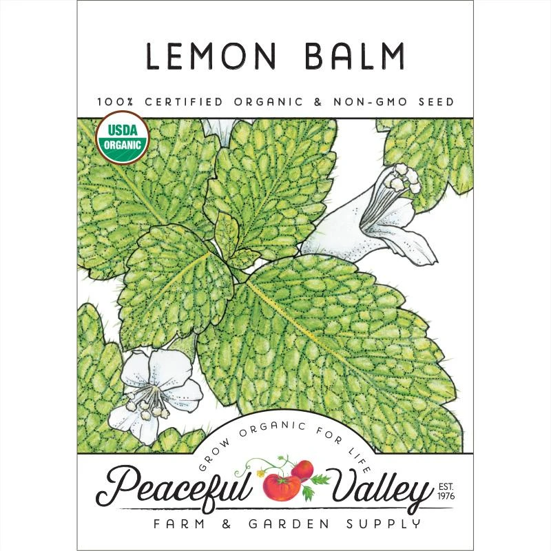 Organic Lemon Balm 1 Organic Lemon Balm