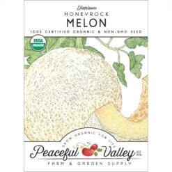 Honeyrock Melon Seeds (Organic)