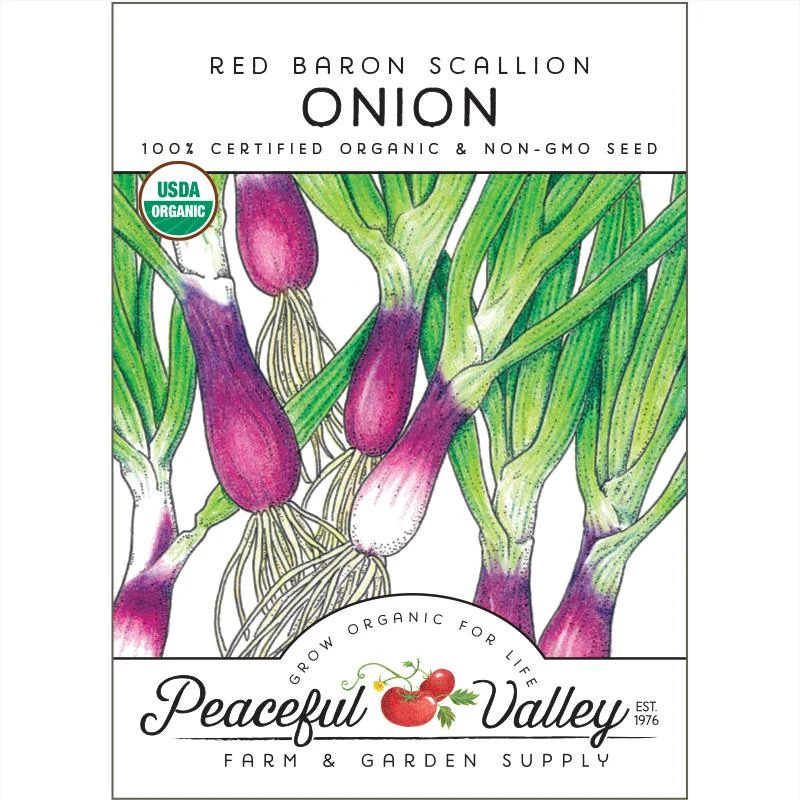 Scallion Red Baron Onion Seeds (Organic) 1 Scallion Red Baron Onion Seeds (Organic)