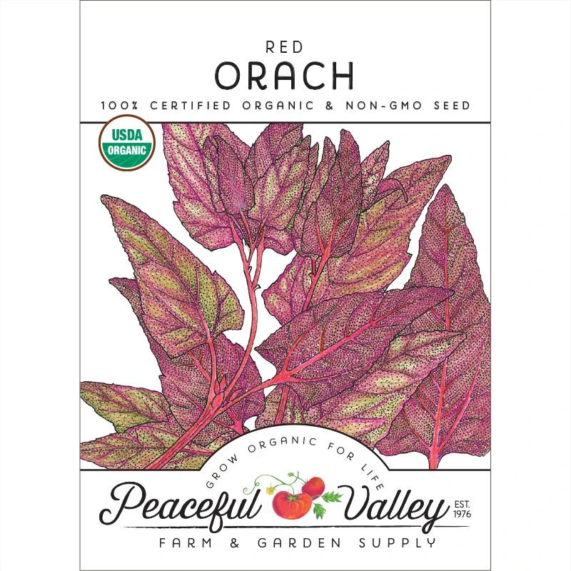 Red Orach Seeds (Organic) 1 Red Orach Seeds (Organic)