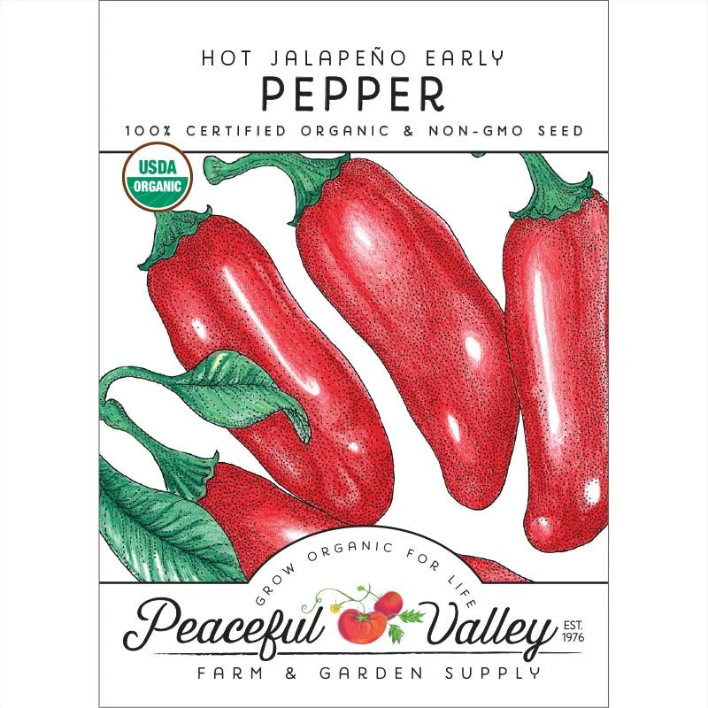 Hot Jalapeo Early Pepper Seeds (Organic) 1 Hot Jalapeo Early Pepper Seeds (Organic)