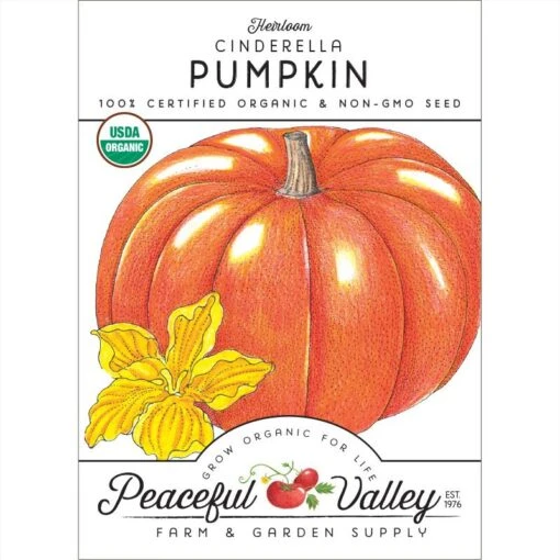 Cinderella Pumpkin Seeds (Organic) -Organic Plants Sales organic pumpkin cinderella