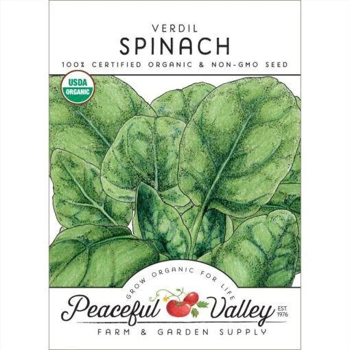 Verdil Spinach Seeds (Organic) -Organic Plants Sales organic spinach verdil