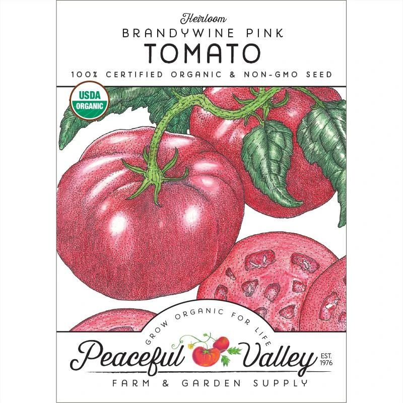 Brandywine Pink Tomato Seeds (Organic) 1 Brandywine Pink Tomato Seeds (Organic)