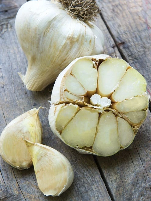 Garlic, Elephant 4 Garlic, Elephant - Image 4