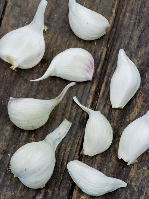 Garlic, Extra Select 5 Garlic, Extra Select - Image 5