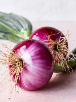Onion, Red Candy 10 Onion, Red Candy -Organic Plants Sales prod001586 alt1 1