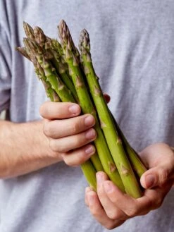 Asparagus, Millennium