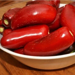 Hot Jalapeo Early Pepper Seeds (Organic) 6 Hot Jalapeo Early Pepper Seeds (Organic) -Organic Plants Sales ripe jalapeno pepper web