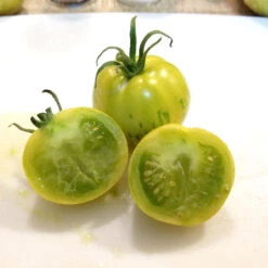 Green Zebra Tomato Seeds (Organic) -Organic Plants Sales snv8173 web2