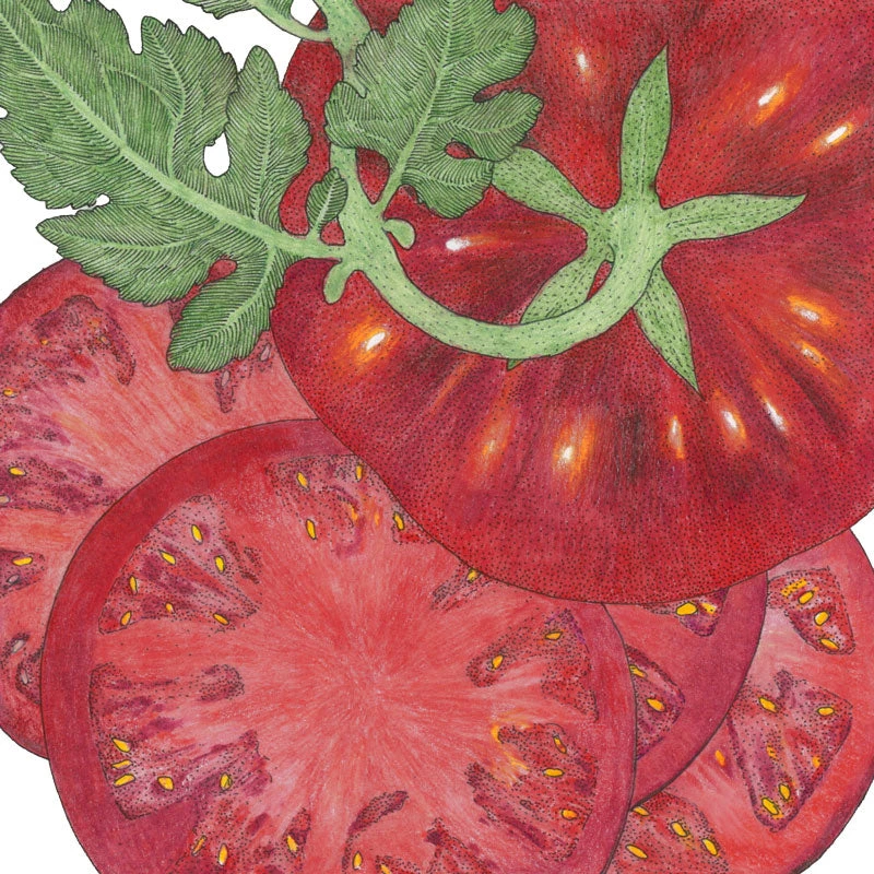 Brandywine Black Tomato Seeds (Organic) 2 Brandywine Black Tomato Seeds (Organic) - Image 2