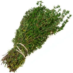 Organic Thyme, English 5 Organic Thyme, English -Organic Plants Sales thyme bundle web