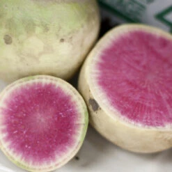 Organic Plants Sales -Organic Plants Sales watermelon radish a 1