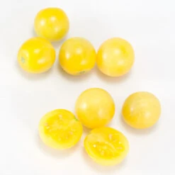 Organic Plants Sales -Organic Plants Sales white cherry 2 web